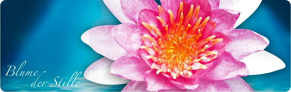 Meditation – Manuela Laasch – HYPNOSE KLANGBEHANDLUNGEN SENSITIVES systemisches COACHING Meditation - Manuela Laasch - HYPNOSE KLANGBEHANDLUNGEN SENSITIVES systemisches COACHING