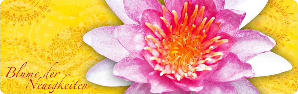 Termine - Manuela Laasch - HYPNOSE KLANGBEHANDLUNGEN SENSITIVES systemisches COACHING